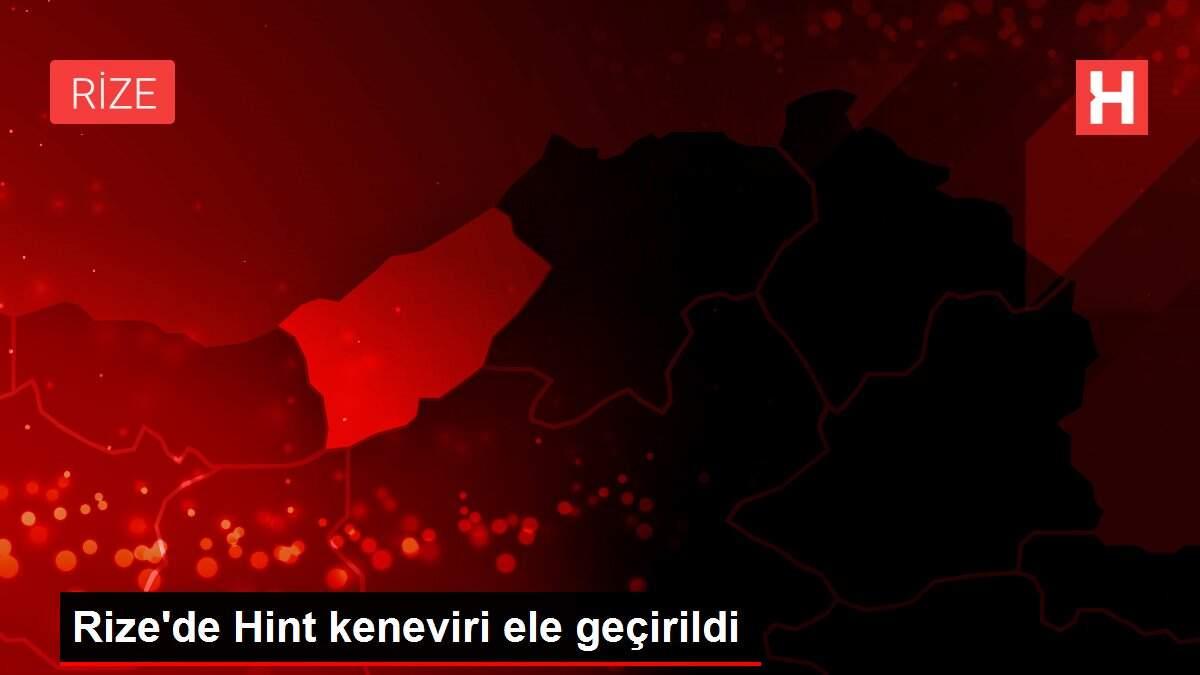 Rize'de Hint keneviri ele geçirildi Rize'de Hint keneviri ele geçirildi