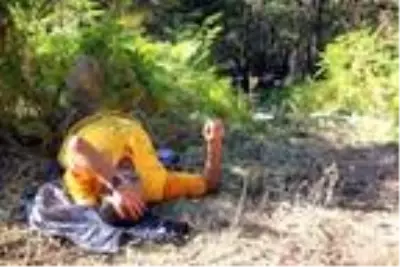 Alevlere karşı verilen mücadelenin sonunda ağaç gölgesine sığındılar