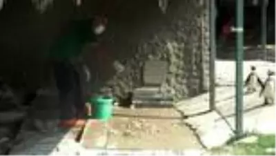 Sıcaktan bunalan hayvanlar buzlu besinlerle serinliyor Sıcaktan bunalan hayvanlar buzlu besinlerle serinliyor