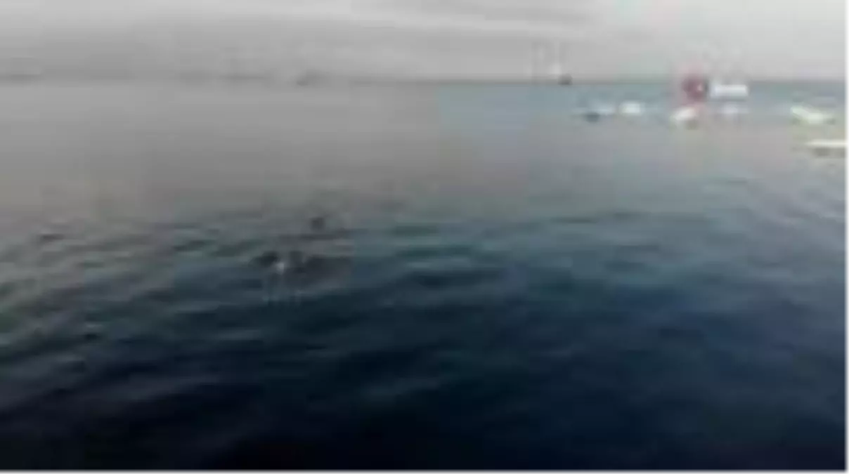 Sıcaktan bunalan vatandaşlar Pendik'te denize girdi