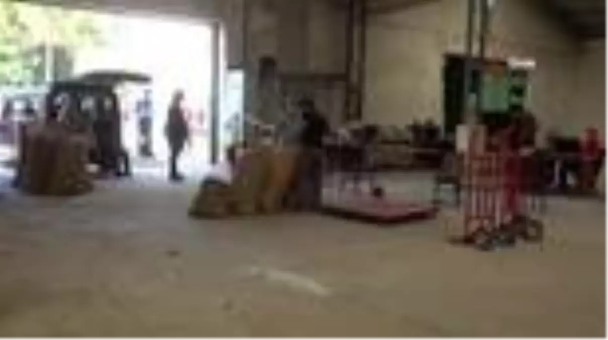 TMO'dan fındık üreticileri için 'Üretici İzleme Odası' uygulaması