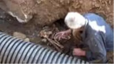 Atık su kanalı kazısında insan kemiği ve eski askeri mühimmat bulundu Atık su kanalı kazısında insan kemiği ve eski askeri mühimmat bulundu