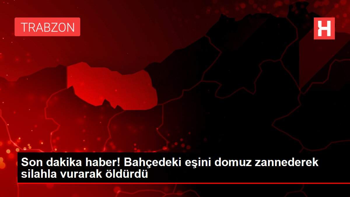 Son dakika haber! Bahçedeki eşini domuz zannederek silahla vurarak öldürdü