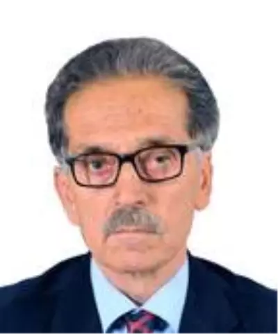 Bahçedeki eşini, domuz zannedip tabancayla öldürdü Bahçedeki eşini, domuz zannedip tabancayla öldürdü