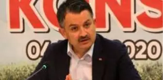 Çayeli: 'Bu musibet bir hayr da getirdi; paramız ülkemizde kaldı şuan çayın kalitesi arttı' Çayeli: 'Bu musibet bir hayr da getirdi; paramız ülkemizde kaldı şuan çayın kalitesi arttı'