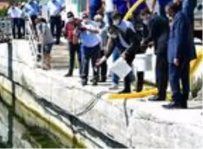 Son dakika haberi: Eğirdir Gölü'ne 562 bin sazan balığı yavrusu bırakıldı Son dakika haberi: Eğirdir Gölü'ne 562 bin sazan balığı yavrusu bırakıldı