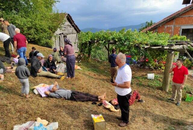 Fındık işçilerini taşıyan traktör devrildi: 14 kişi yaralandı
