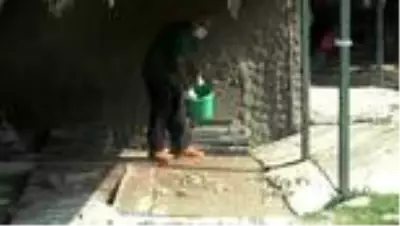 Sıcaktan bunalan hayvanlar buzlu besinlerle serinliyor Sıcaktan bunalan hayvanlar buzlu besinlerle serinliyor