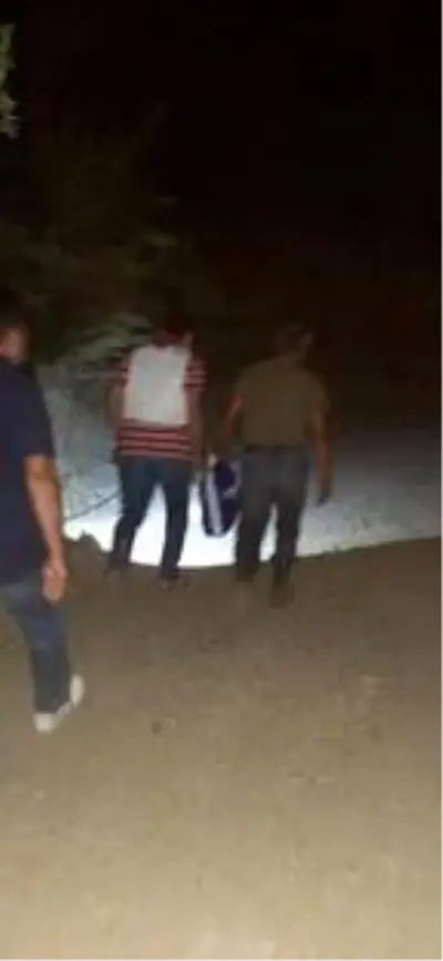 Uyuşturucu taciri firari hükümlü, ağaç kovuğunda yakalandı Uyuşturucu taciri firari hükümlü, ağaç kovuğunda yakalandı