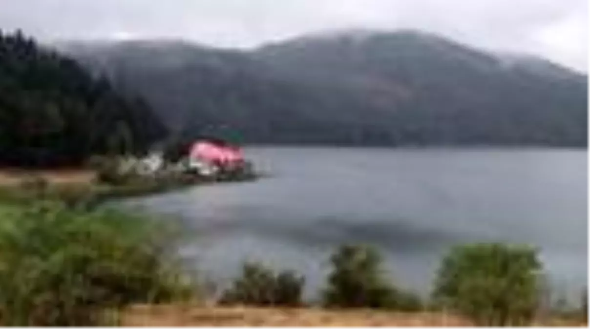 Abant Tabiat Parkı'na gelen tatilciler, sağanak altında piknik yaptı