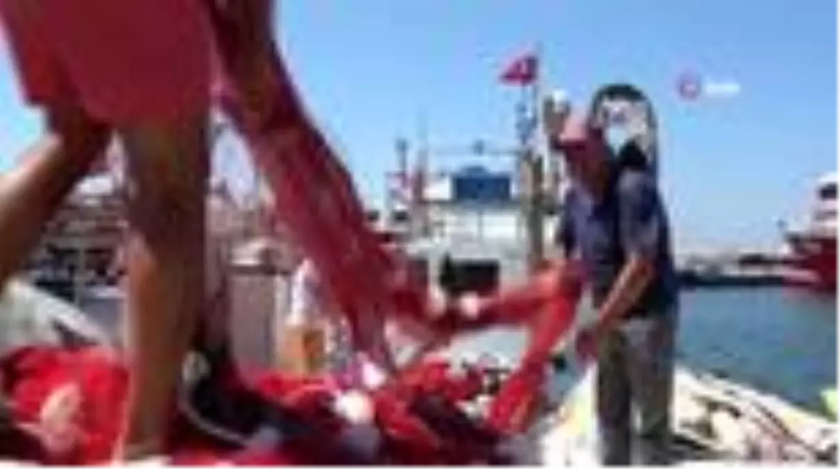 Asma yaprağında sardalyanın lezzetine doyum olmuyor