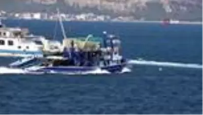 Asma yaprağında sardalyanın lezzetine doyum olmuyor Asma yaprağında sardalyanın lezzetine doyum olmuyor