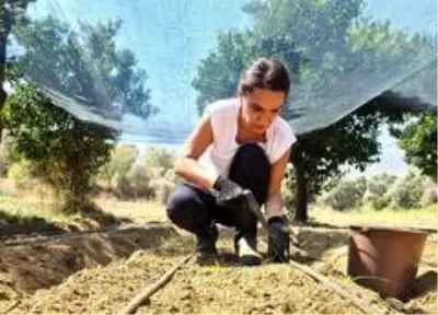 Bankacılığı bırakıp salep üretmeye başladı! Kilosunu 500 liraya satıyor Bankacılığı bırakıp salep üretmeye başladı! Kilosunu 500 liraya satıyor