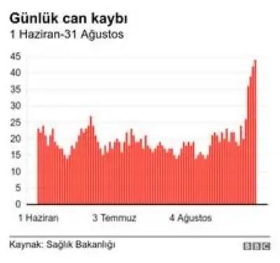 Koronavirüs: Türkiye'de normalleşme adımlarının ardından pandemi nasıl bir seyir izledi? Koronavirüs: Türkiye'de normalleşme adımlarının ardından pandemi nasıl bir seyir izledi?