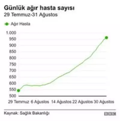 Koronavirüs: Türkiye'de normalleşme adımlarının ardından pandemi nasıl bir seyir izledi? Koronavirüs: Türkiye'de normalleşme adımlarının ardından pandemi nasıl bir seyir izledi?