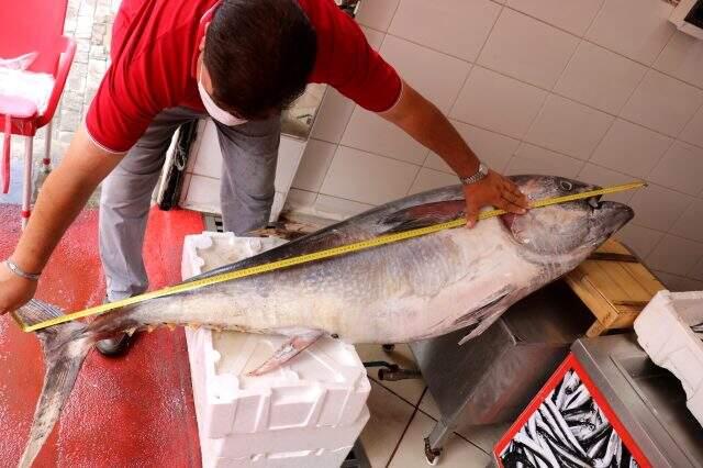 Lüleburgaz'da 100 kilogramlık orkinos vatandaşların ilgi odağı oldu