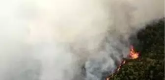 Samandağ: Son dakika haberleri | Samandağ'da orman yangını drone ile havadan görüntülendi Samandağ: Son dakika haberleri | Samandağ'da orman yangını drone ile havadan görüntülendi