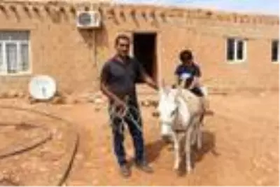 Mardinli çoban 100 liralık taksiti ödeyemediği için eşeği elinden alınacak