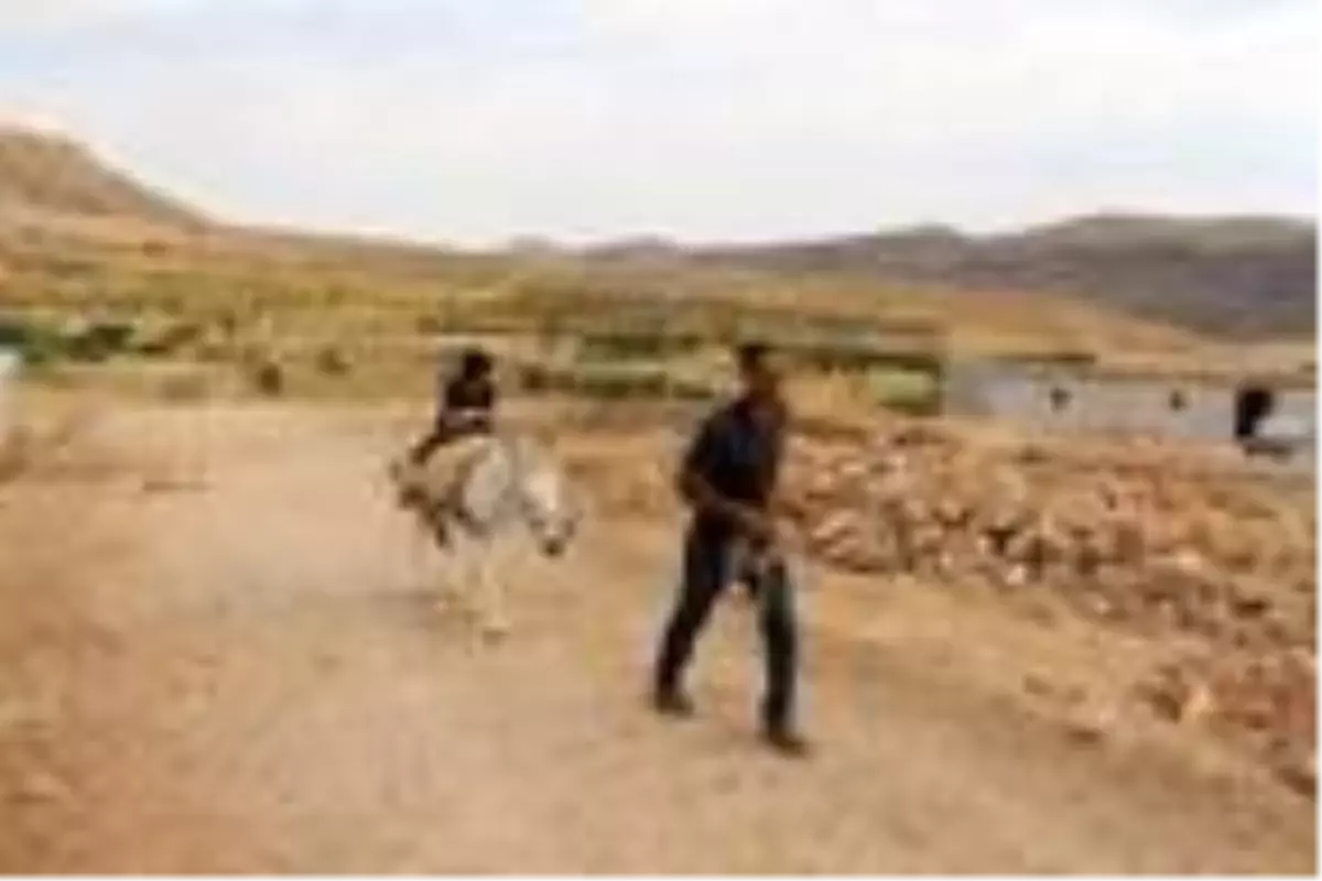 Mardinli çoban 100 liralık taksiti ödeyemediği için eşeği elinden alınacak