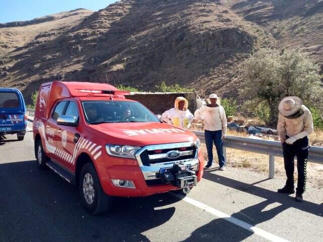 Arı kovanı ve bal yüklü kamyon devrildi: Araçta bulunan 3 kişi hayatını kaybetti