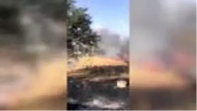 Son dakika haber | Bahçede çıkan yangın evde hasara yol açtı Son dakika haber | Bahçede çıkan yangın evde hasara yol açtı