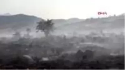 Son dakika haber! Bitlis'te otluk yangını Son dakika haber! Bitlis'te otluk yangını