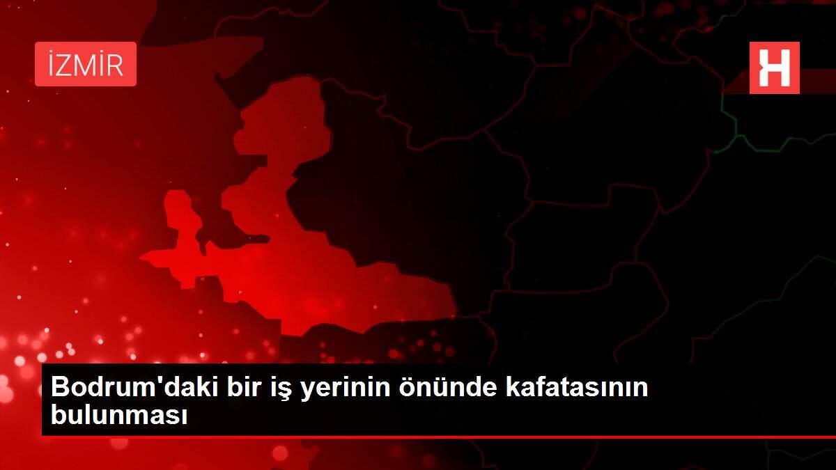 Bodrum'daki bir iş yerinin önünde kafatasının bulunması
