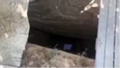 Malatya'da kaçak kazı yapan 5 şüpheli suçüstü yakalandı Malatya'da kaçak kazı yapan 5 şüpheli suçüstü yakalandı