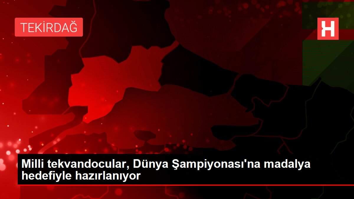 Milli tekvandocular, Dünya Şampiyonası'na madalya hedefiyle hazırlanıyor