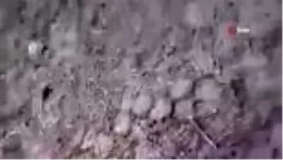 Rus yapımı roket, atış yapacak olan askerin omzunda patladı! Korku dolu anlar kamerada Rus yapımı roket, atış yapacak olan askerin omzunda patladı! Korku dolu anlar kamerada