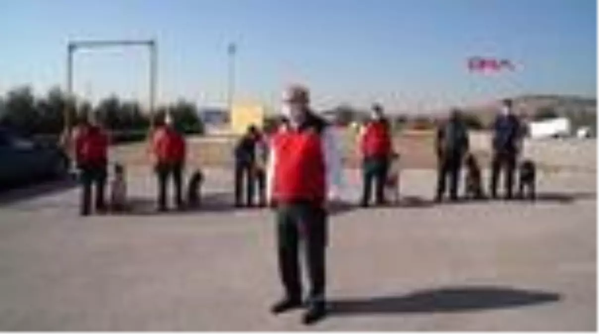 Son dakika! Balıkesir Büyükşehir Belediyesi İtfaiyesi'nin K9 köpekleri eğitiliyor