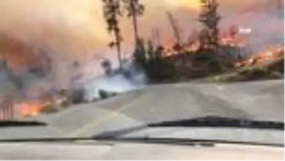 California'daki yangınlar nedeniyle 5 bölgede acil durum ilanıMahsur kalan 200'ü aşkın kampçı... California'daki yangınlar nedeniyle 5 bölgede acil durum ilanıMahsur kalan 200'ü aşkın kampçı...