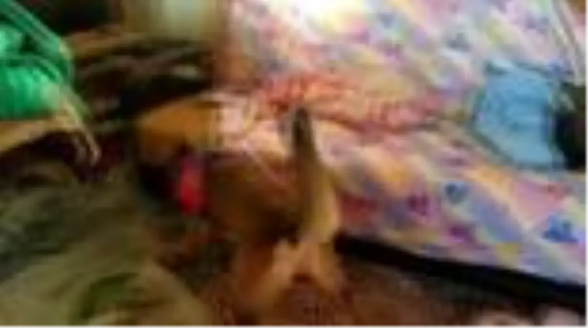 İzmir'de drone destekli uyuşturucu operasyonu