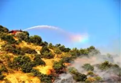 Kahramanmaraş'ta 1 hektar orman alanı yandı Kahramanmaraş'ta 1 hektar orman alanı yandı