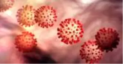 Koronavirüste d vitaminin önemi nedir? D vitamininin koruyucu etkisi nedir? D vitamini koronavirüse iyi gelir mi? Koronavirüste d vitaminin önemi nedir? D vitamininin koruyucu etkisi nedir? D vitamini koronavirüse iyi gelir mi?