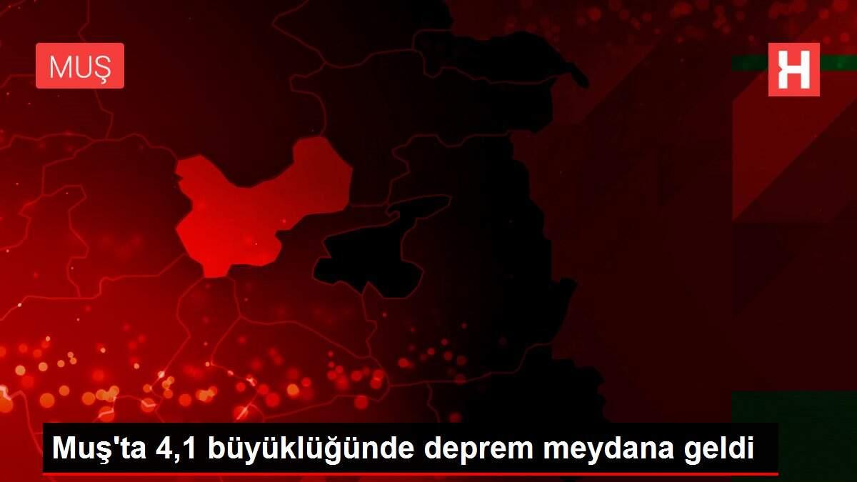 Muş'ta 4,1 büyüklüğünde deprem meydana geldi