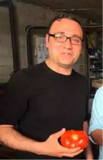 Organik yetiştirilen domatesler 1 kilo geliyor Organik yetiştirilen domatesler 1 kilo geliyor