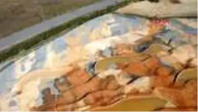 SİVAS Pamukkale'nin kardeşi 'Altınkale' ziyaretçilerini bekliyor SİVAS Pamukkale'nin kardeşi 'Altınkale' ziyaretçilerini bekliyor