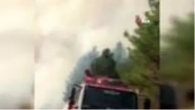 3 hektar ormanlık alan yandı 3 hektar ormanlık alan yandı