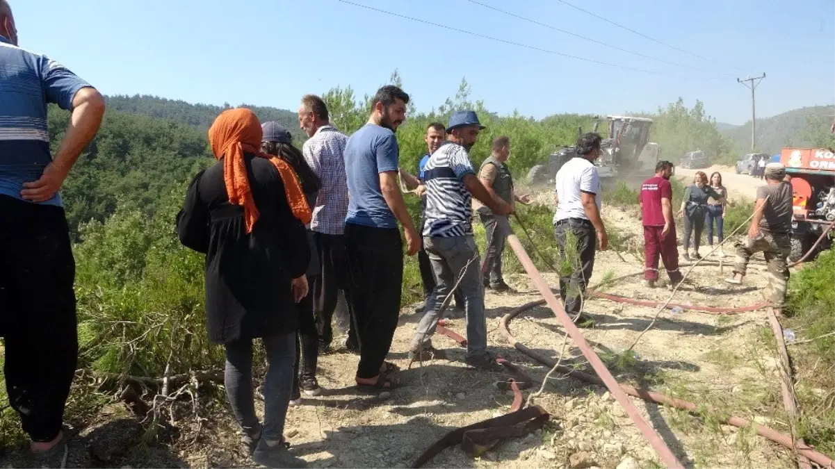 Son dakika haberi! Adana'daki orman yangınını söndürme ...