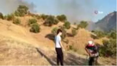 Son dakika haberi! Aydın'da asırlık zeytin ağaçları alevlerle teslim oldu Son dakika haberi! Aydın'da asırlık zeytin ağaçları alevlerle teslim oldu