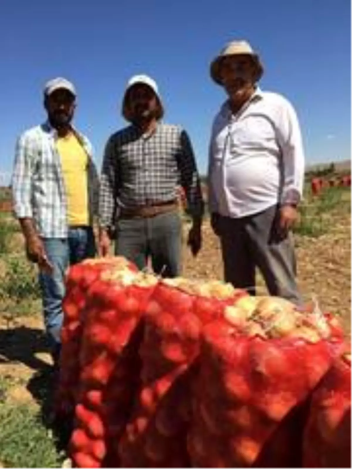 Beylikova'daki soğan üreticilerin yüzü güldü