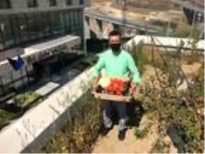 Yerli otomobilin merkez üssünün de bulunduğu Kocaeli'deki Bilişim Vadisi'nin çatısında organik tarım yapılıyor Yerli otomobilin merkez üssünün de bulunduğu Kocaeli'deki Bilişim Vadisi'nin çatısında organik tarım yapılıyor