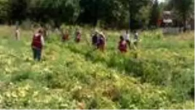 - Denetimli serbestlikte yetiştirdiler, ihtiyaç sahiplerine gidiyor - Denetimli serbestlikte yetiştirdiler, ihtiyaç sahiplerine gidiyor