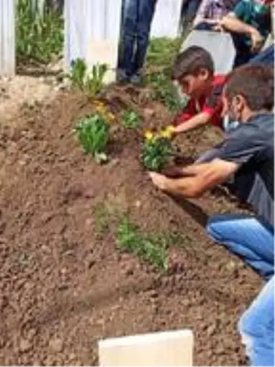 Koyunlarını kurtlardan kurtarmak isterken yere düştü, ateş alan tüfekle ablasını öldürdü