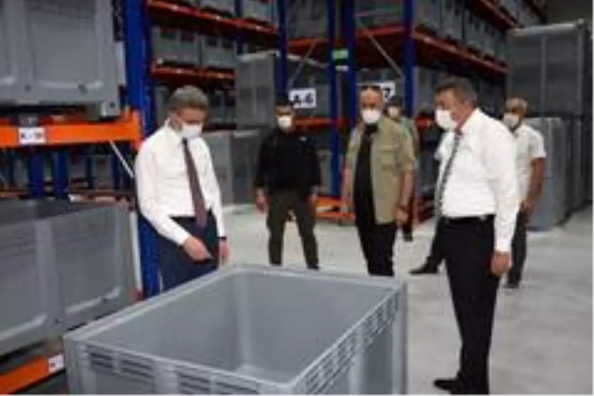 Lisanslı kuru kayısı deposu kayısıya değer katacak