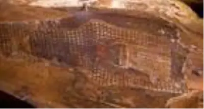 Mısır'da 2 bin 500 yıllık 13 tahta tabut bulundu Mısır'da 2 bin 500 yıllık 13 tahta tabut bulundu