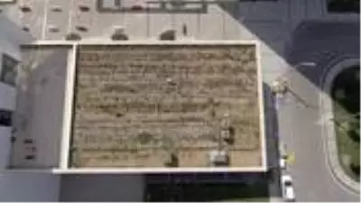 Yerli otomobilin merkez üssünün de bulunduğu Kocaeli'deki Bilişim Vadisi'nin çatısında organik tarım yapılıyor Yerli otomobilin merkez üssünün de bulunduğu Kocaeli'deki Bilişim Vadisi'nin çatısında organik tarım yapılıyor