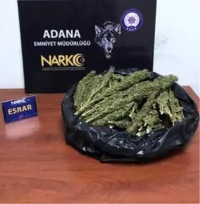 Adana'da torbacılara operasyon: 19 kişi tutuklandı