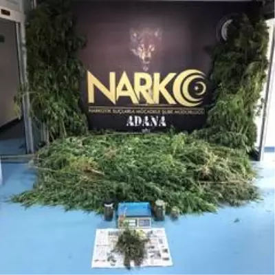 Adana'da torbacılara operasyon: 19 kişi tutuklandı
